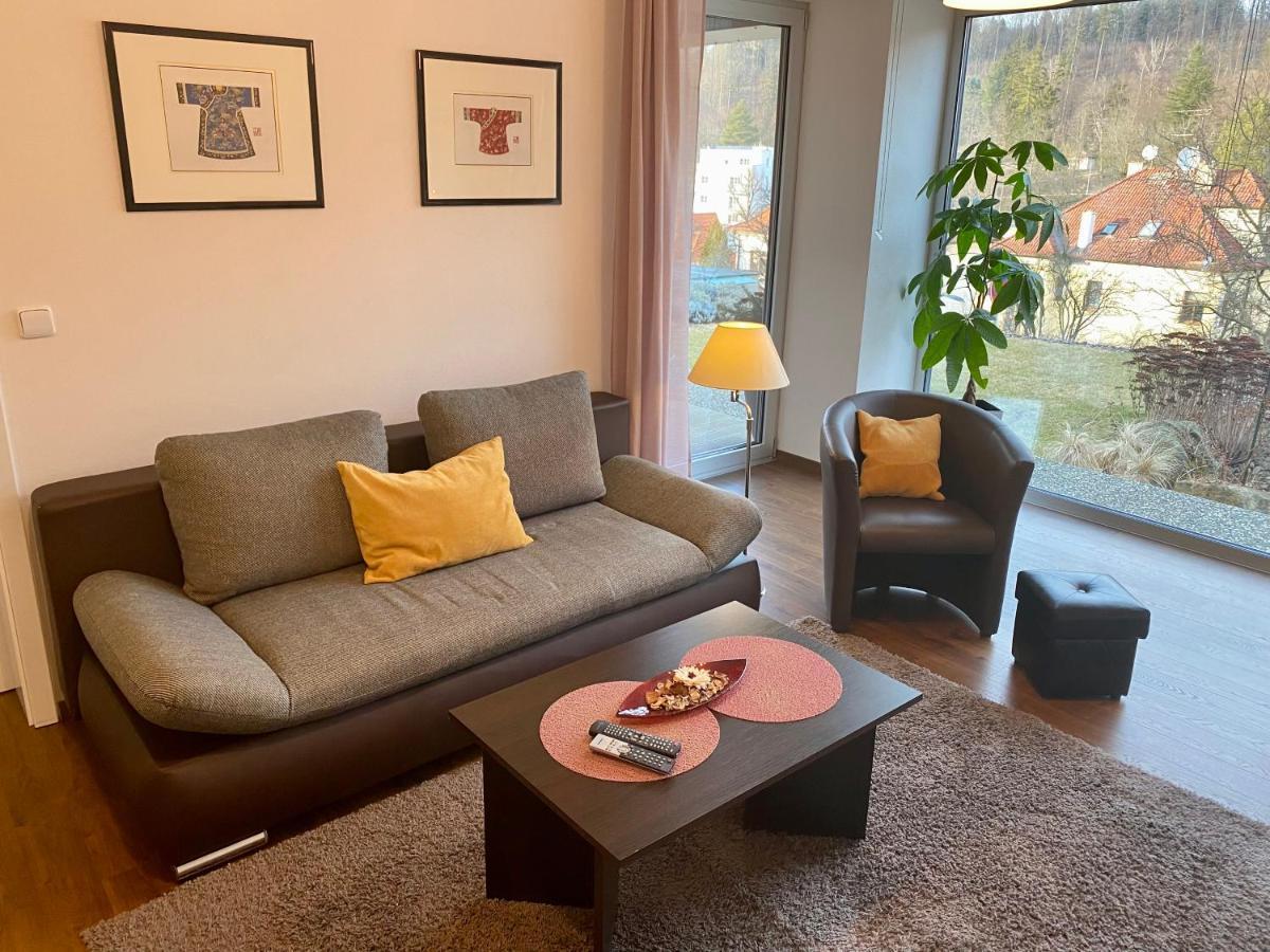 Magion Apartment Luhacovice