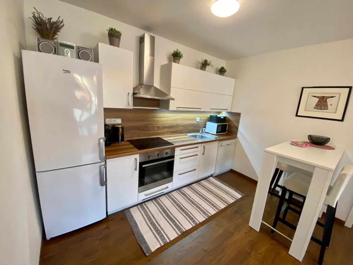 Apartment Magion *