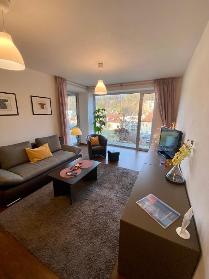 Apartment Magion *